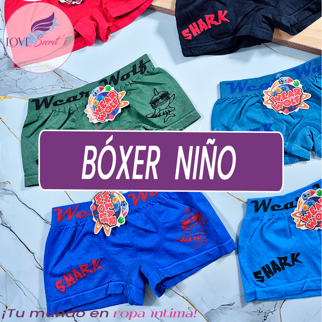 Boxer niño