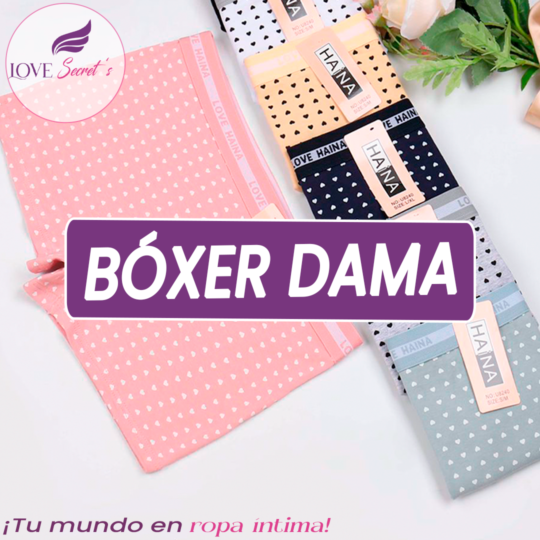 Boxer dama