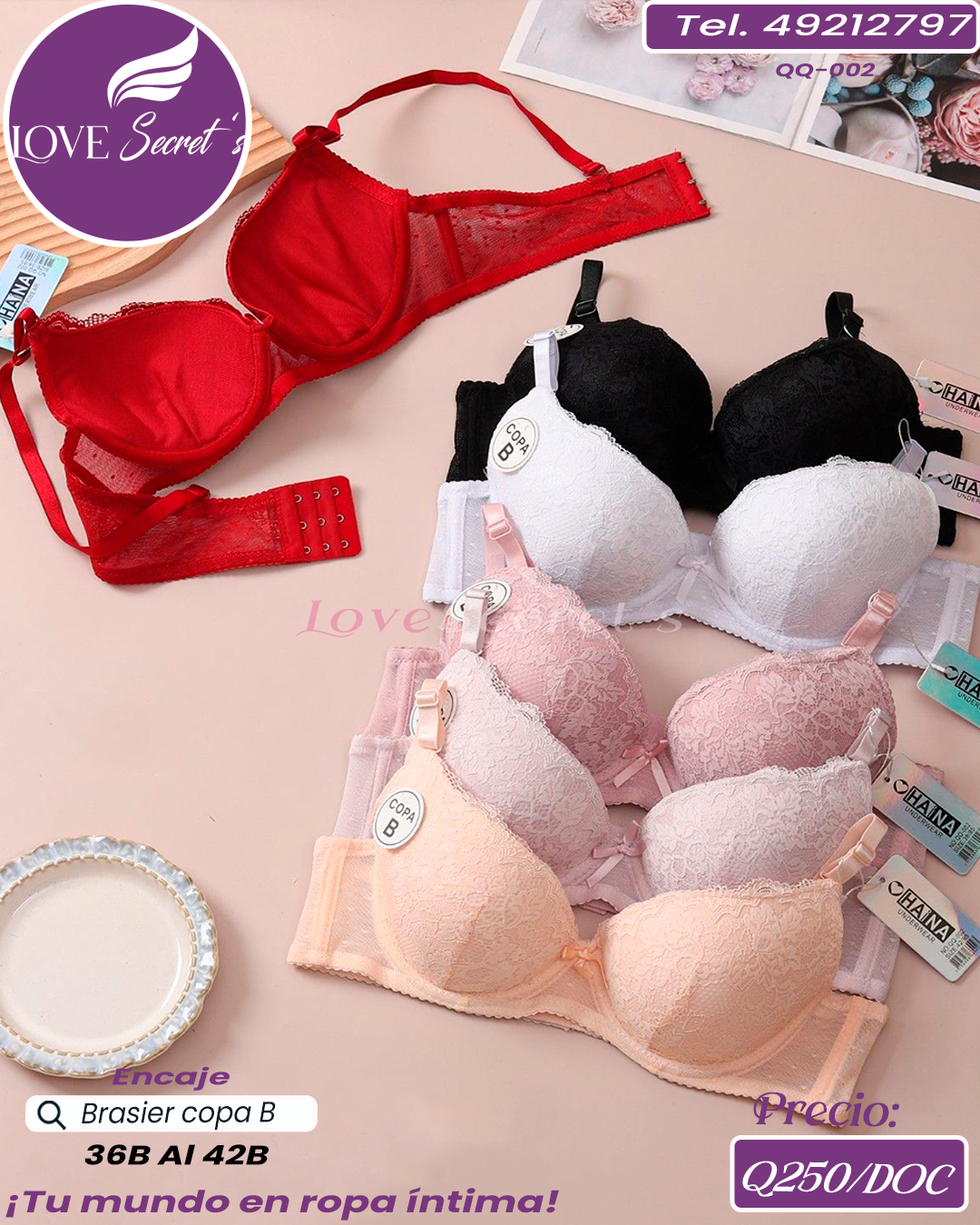 Brasier dama copa B  / QQ-002-1DOC