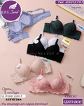 Brasier dama copa A / QQ-044-1DOC